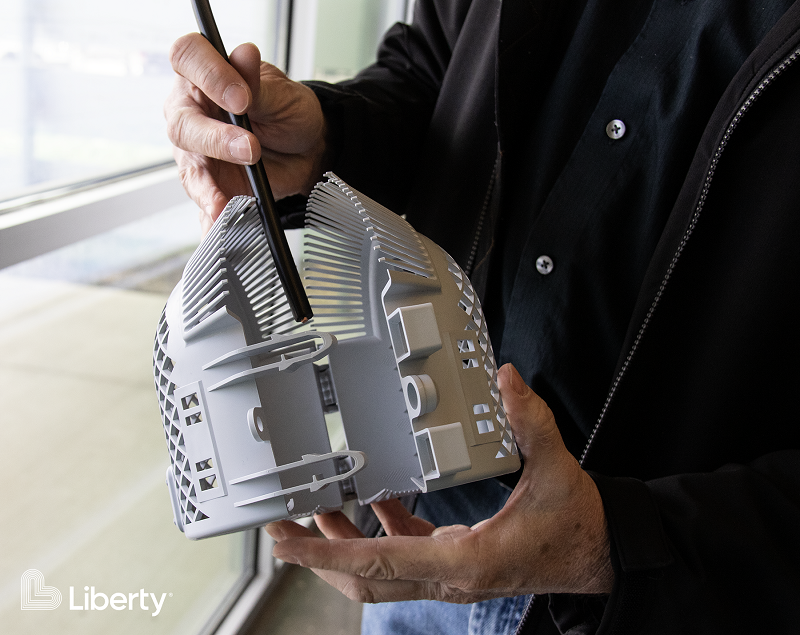 Protecting the electrical system - and our furry friends